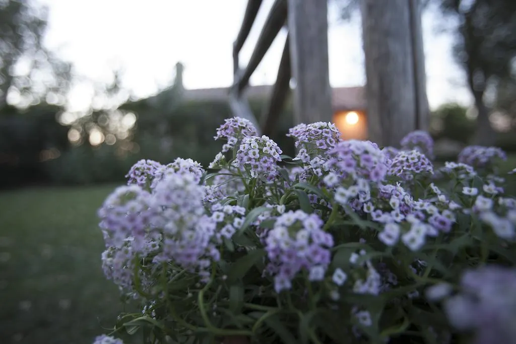 Bed & Breakfast Le Palazze B&B Chiusi