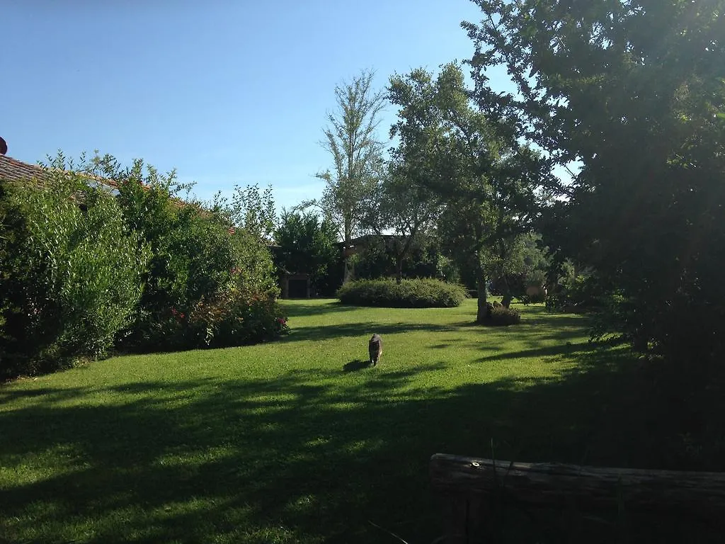 Le Palazze B&B Chiusi Bed & Breakfast