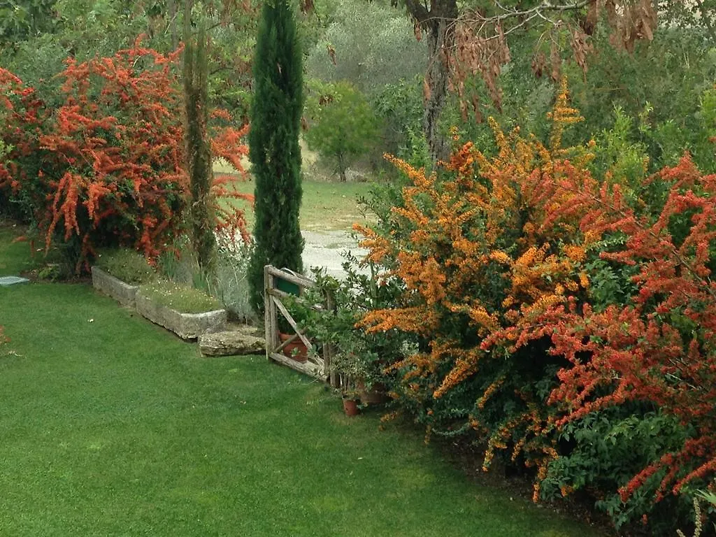 Le Palazze B&B Chiusi Bed & Breakfast