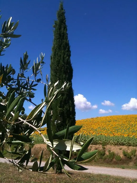 Le Palazze B&B Chiusi Italy