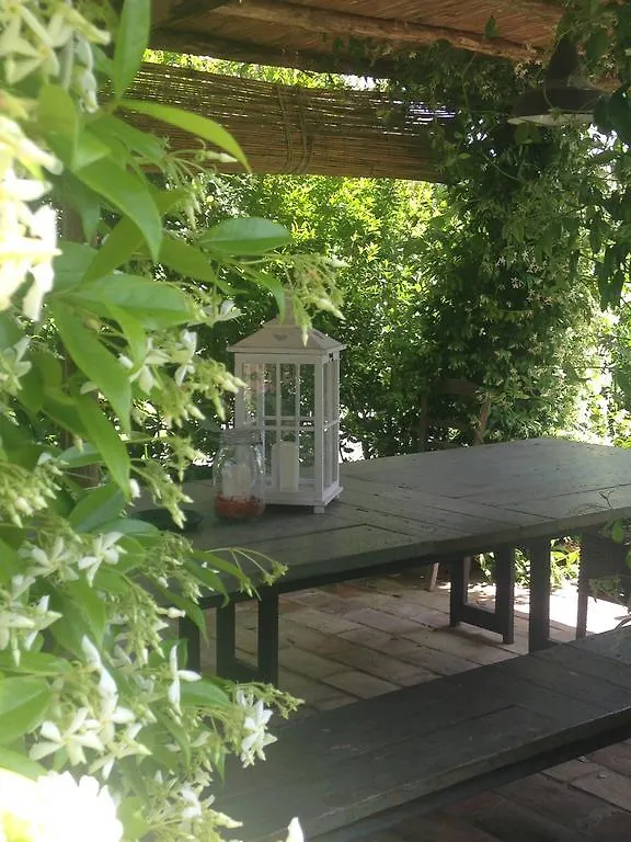 Le Palazze B&B Chiusi Bed & Breakfast